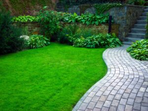 Garden with wavy path